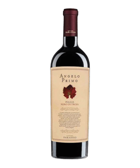 Cantine Paradiso - Angelo Primo Nero di Troia 2022 kersen puglia kruiden