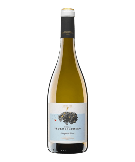 Bodegas Pedro Escudero Sauvignon Blanc bestellen fris fruitig vol